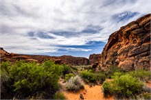 06-Petrified-Dunes