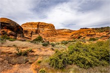 07-Petrified-Dunes