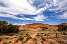 12-Petrified-Dunes