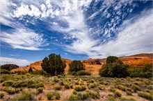 13-Petrified-Dunes