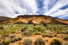 14-Petrified-Dunes