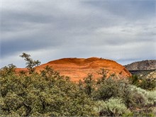 17-Petrified-Dunes