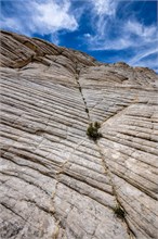 17-White-Rocks-Ampitheater