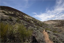 07-Cinder-Cone