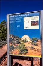 07-Kolb-Canyon_Zion