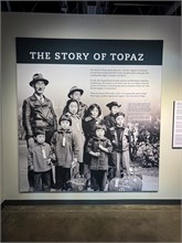 11-Topaz-UT