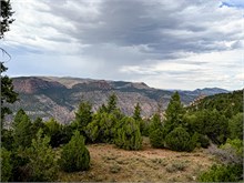 07-Dinosaur_Harper-Corner