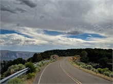 13-Dinosaur_Harper-Corner