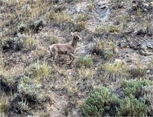 25-Flaming_Gorge