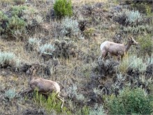 26-Flaming_Gorge