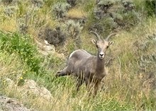 27-Flaming_Gorge