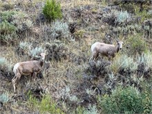28-Flaming_Gorge