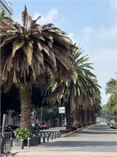 07-CDMX-1st-Day