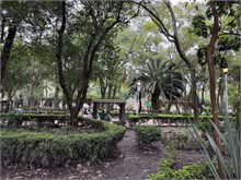 86-CDMX-1st-Day