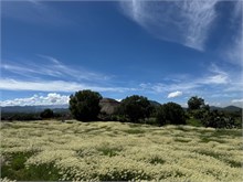 14-Teotihuacan