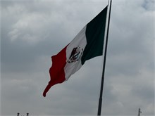 IMG_4420