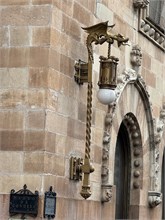 IMG_4429