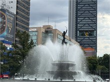 IMG_4464
