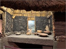 08-Anthropology-Museum
