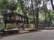 27-Anthropology-Museum