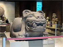 31-Anthropology-Museum