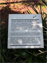 03-Botanical_Garden_CDMX