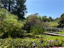 07-Botanical_Garden_CDMX