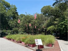 08-Botanical_Garden_CDMX