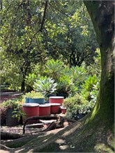 10-Botanical_Garden_CDMX