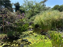 12-Botanical_Garden_CDMX
