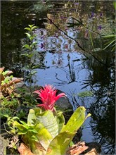 16-Botanical_Garden_CDMX