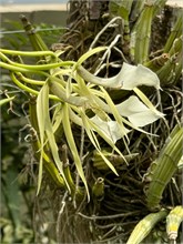 18-Botanical_Garden_CDMX