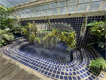 24-Botanical_Garden_CDMX