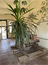 03-Luderitz-Namibia-2