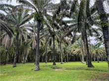 63-20240601-IvoryCoast