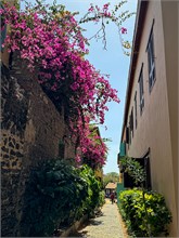 27-Goree-Island