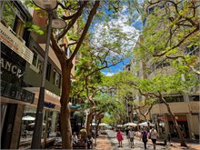 41-Tenerife-062024