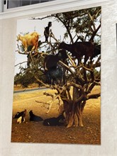 26-Agadir1
