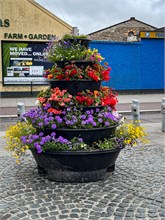 02-Cork-2024