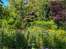 01-Giverny-Gardens