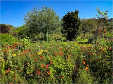 05-Giverny-Gardens