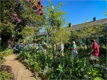 11-Giverny-Gardens