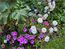 13-Giverny-Gardens