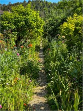 18-Giverny-Gardens