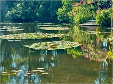 03-Girerny-Water-Lillies