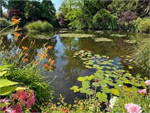 05-Girerny-Water-Lillies