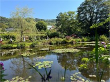 08-Girerny-Water-Lillies