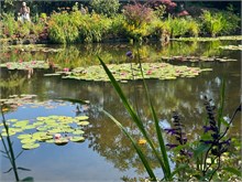 09-Girerny-Water-Lillies