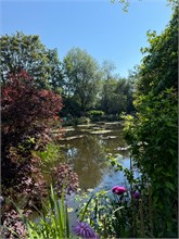 10-Girerny-Water-Lillies