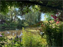13-Girerny-Water-Lillies
